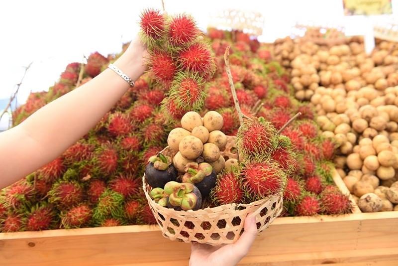 Tops Joins Forces For The Latest City Big Event – 4th Durian Buffet Festival! “The Original Thailand’s Amazing Durian and Fruit Fest 2019”