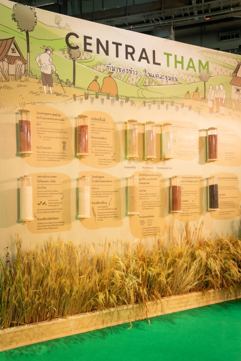 "Central Tham" brings rice straight from fields to your hands, with 11 of the greatest rice varieties from 9 communities in more than 7 provinces across the country