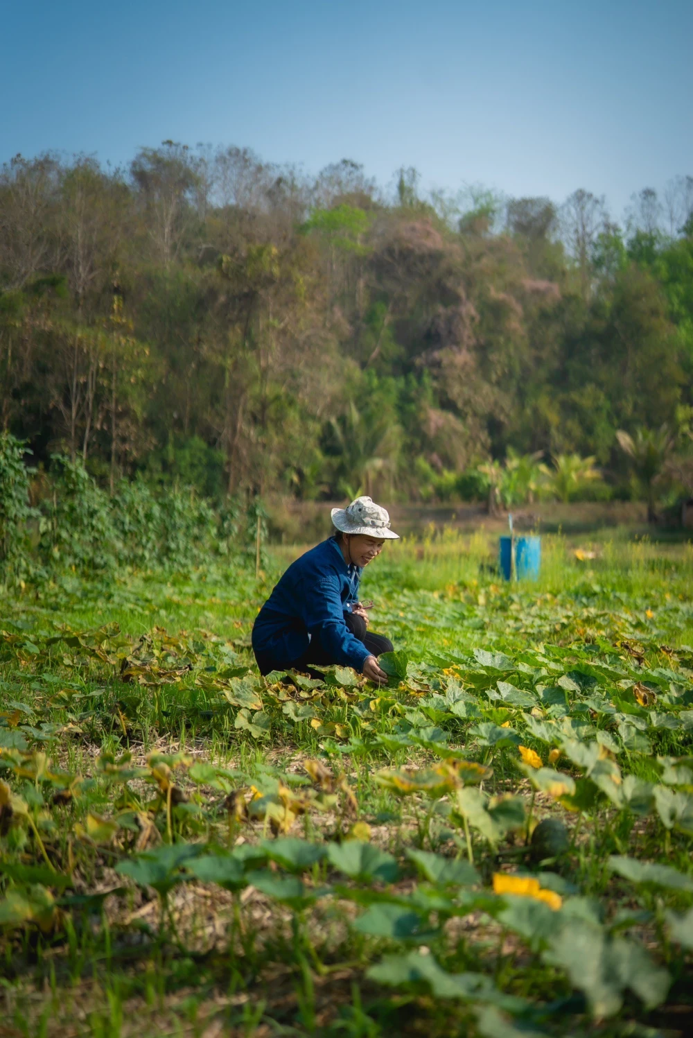 Central Tham: Empowering Communities for Sustainable Growth,	 Elevating Local Livelihood, Reducing Inequality,  And Driving The Economy While Taking Care Of The Environment
