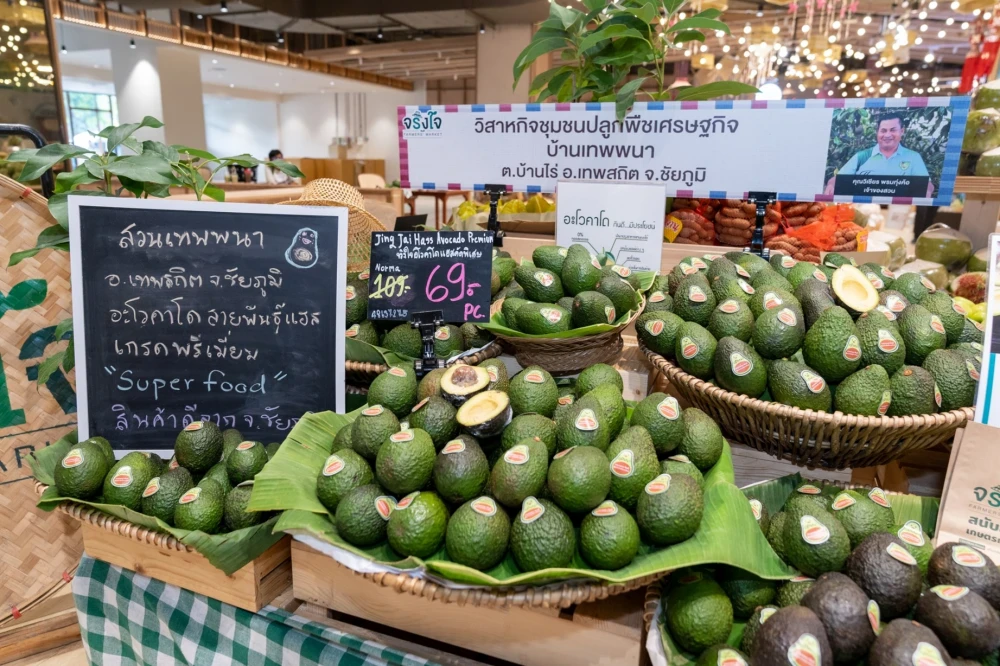 Central Tham: Empowering Communities for Sustainable Growth,	 Elevating Local Livelihood, Reducing Inequality,  And Driving The Economy While Taking Care Of The Environment